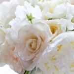 fluffy-white-bouquet
