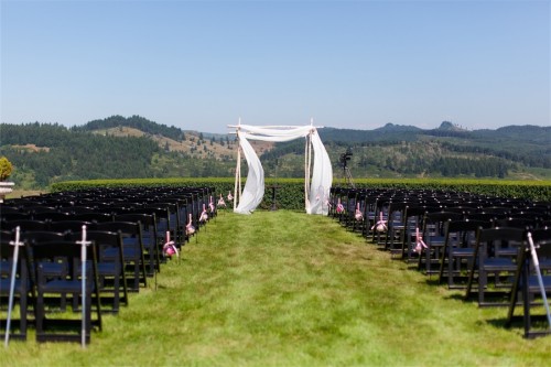 chiffon and birch chuppah