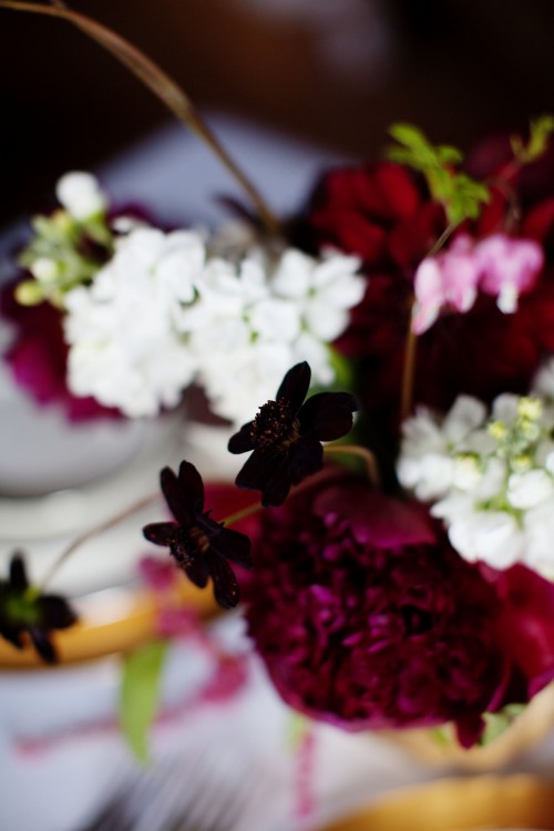 centerpiece with chocolate cosmos by Anastasia Ehlers, photo by Anne Nunn