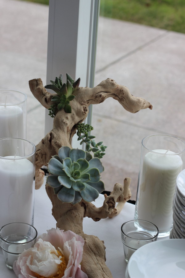 succulent grape wood decoration by anastasia floral